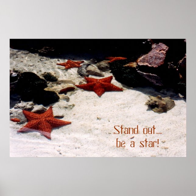 Póster Seja uma estrela por roupa (Frente)