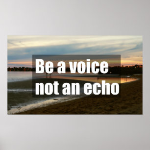 Poster Seja uma voz, não um eco