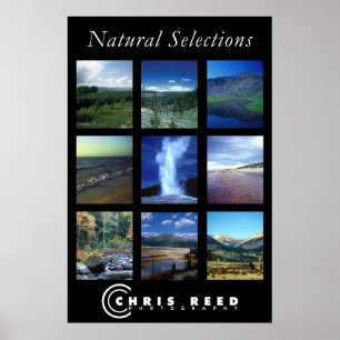 Póster Selecções naturais