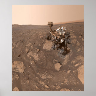 Poster Selfie da Curiosity no local de Mary Anning em