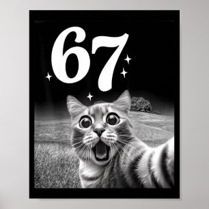 Poster Selfie de Gato Com 67 Meme Gatos Engraçados Gráfic