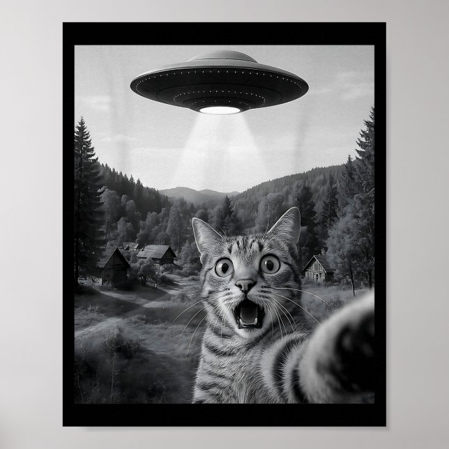 Poster Selfie de Gato com Alien Ufo Gato Engraçado Ed Cat (Frente)