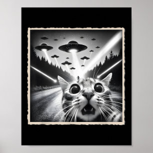 Poster Selfie de Gato Com Ovni _ Alien & Gato Engraça