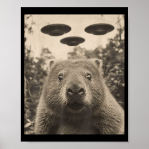 Poster Selfie Engraçado de Tatu com Ovnis Tatu Estranho