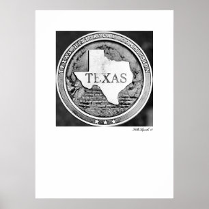 Póster Selo da sociedade histórica de Texas no bronze