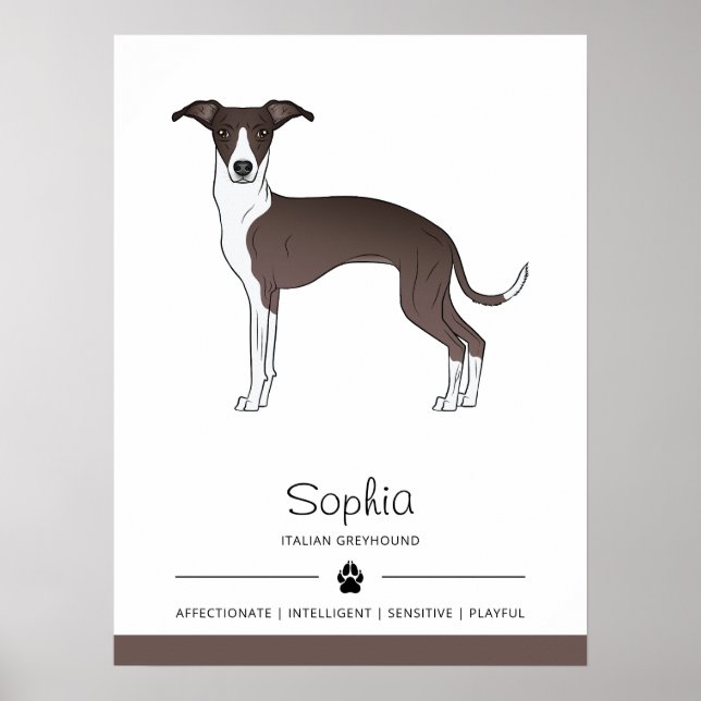 Poster Selo E Greyhound Italiano Branco Com Texto Persona (Frente)