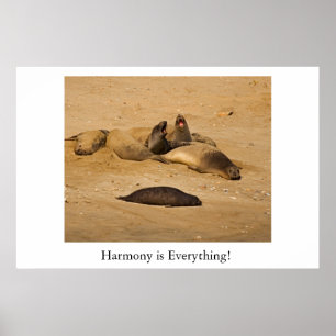 Poster Selos de elefante de Califórnia do norte