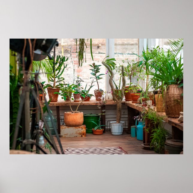 Poster Selva urbana. Jardim com plantas, flores. (Frente)