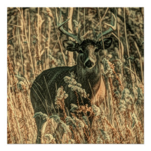 Póster selvagem de camuflagem Camouflage veado-branco