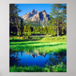 Poster Selvagem de Sawtooth