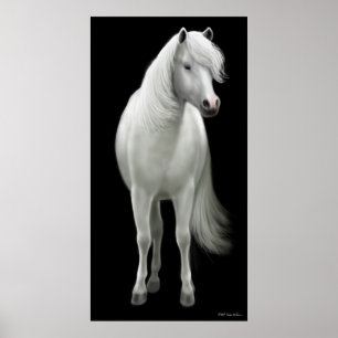 Poster selvagem do cavalo branco