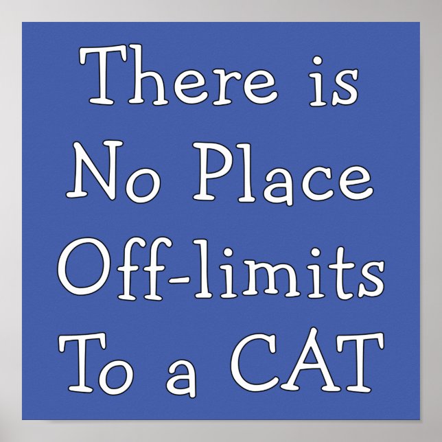 Poster Sem Colocação fora dos limites de um CAT (Frente)