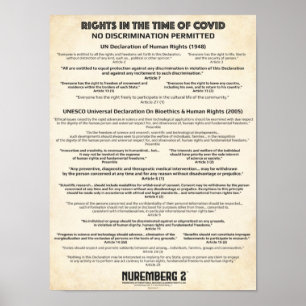 Poster "Sem Discriminação" Direitos Humanos X Pequena Pos