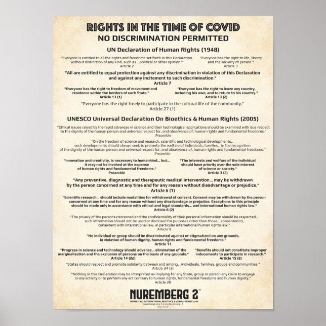 Poster "Sem Discriminação" Direitos Humanos X Pequena Pos (Frente)