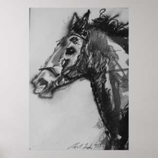 Póster sem execução