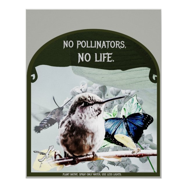 Póster Sem Polinizadores, Sem Vida (Frente)