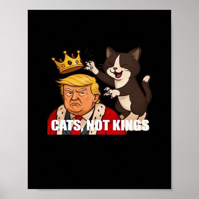 Poster Sem Reis Anti Gatos Divertido Estilo Clássico (Frente)