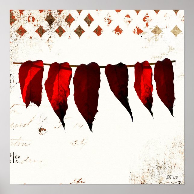 Póster sem título (Frente)