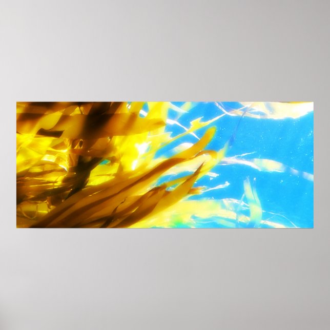 Póster Sem título (Frente)