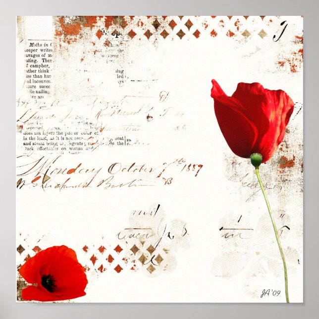 Poster sem título (Frente)