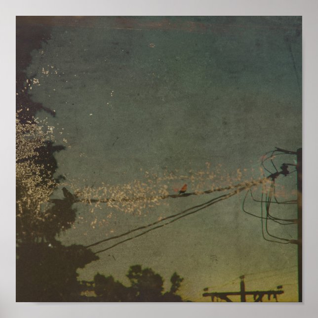 Póster Sem título (Frente)