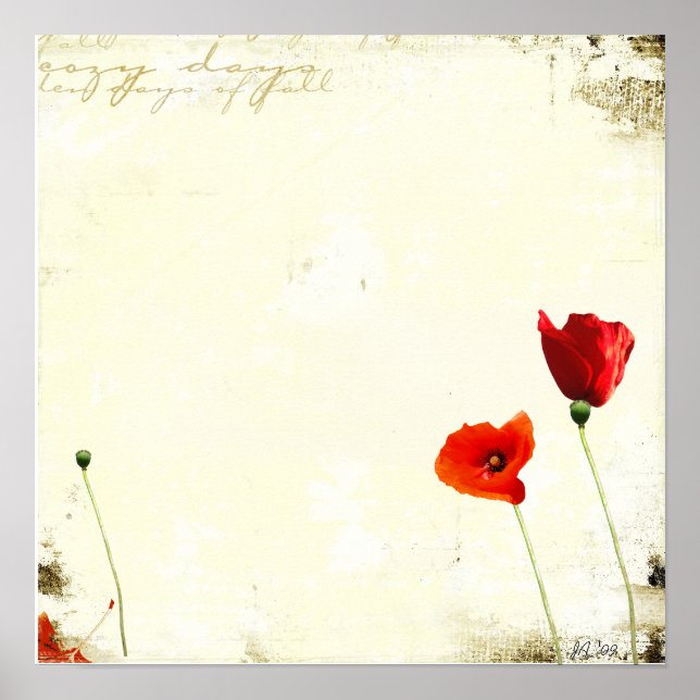 Poster sem título (Frente)