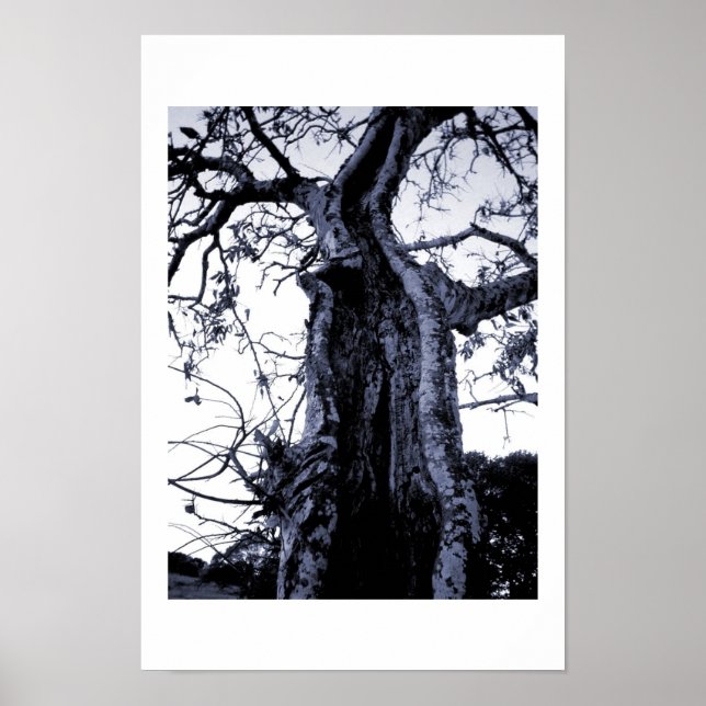 Póster Sem título (Frente)