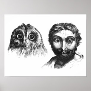 Poster Semelhança engraçada entre o homem e os desenhos