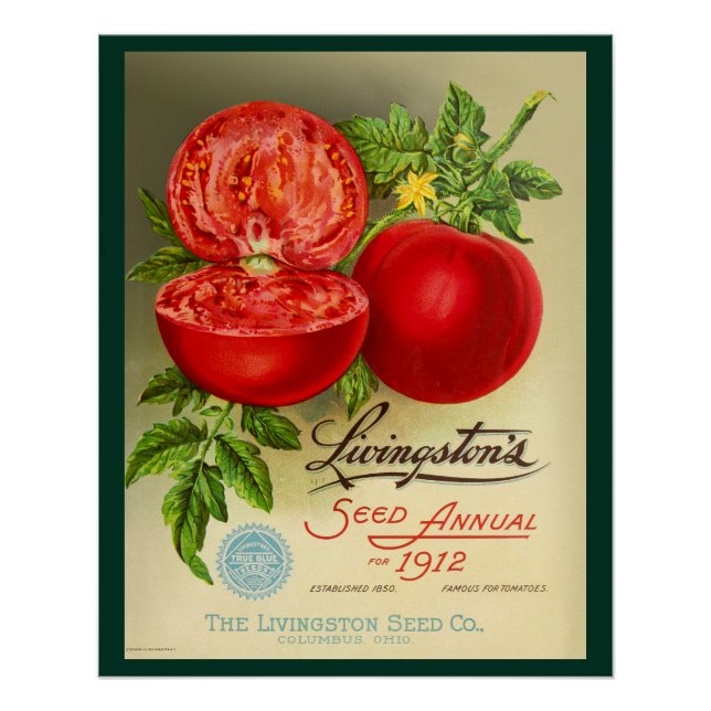 Póster Sementes anuais (Frente)