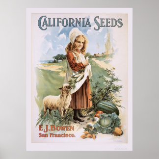Póster Sementes da Califórnia