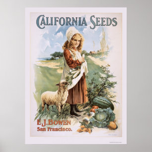 Póster Sementes de Califórnia