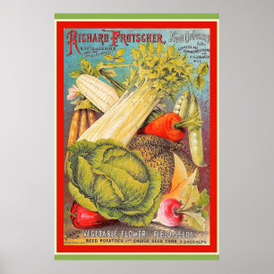 Poster Sementes De Jardinagem Vintage New Orleans