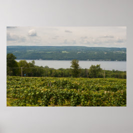 Poster Seneca Lake e Vineyards, Nova Iorque