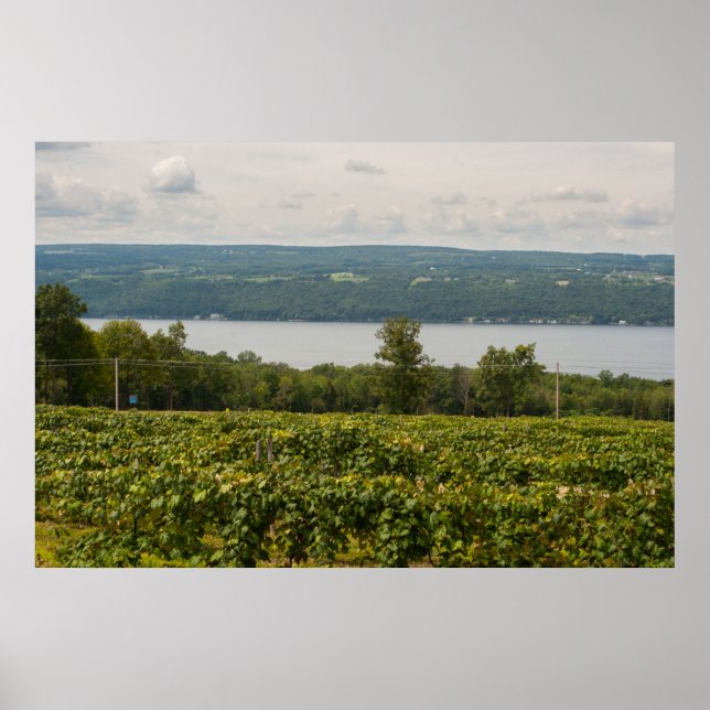 Poster Seneca Lake e Vineyards, Nova Iorque (Frente)