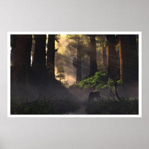 Póster Senhor da floresta