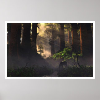 Póster Senhor da Floresta
