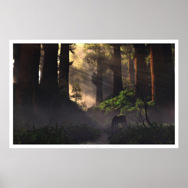 Póster Senhor da Floresta (Frente)