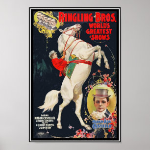 Póster Senhora Ada Castello do circo dos irmãos de