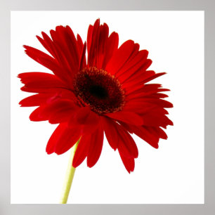 Poster senhora de vermelho