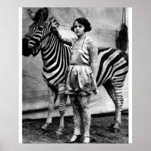 Póster Senhora do Circo Tatuada e Zebra