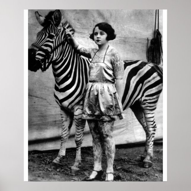Póster Senhora do Circo Tatuada e Zebra (Frente)