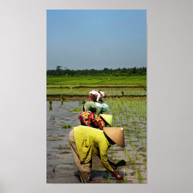 Póster Senhoras no trabalho (Frente)