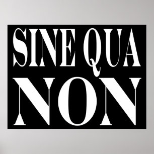 Póster Seno - qua - citações Latin não famosas: Palavr