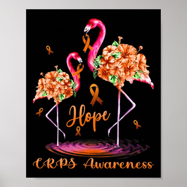 Poster Sensibilização do Flamingo Crps (Frente)
