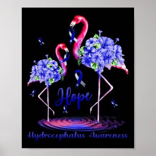 Poster Sensibilização para Hidrocefalia