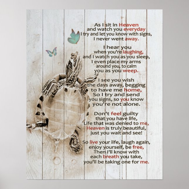 Poster Sentado Em Presentes Do Memorial Da Tartaruga Do C (Frente)