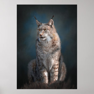 Poster Sentado lince iberiano