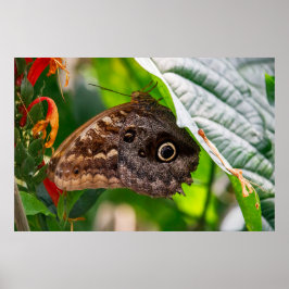 Poster Sentado Parado