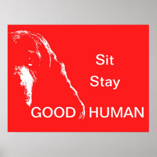 Poster Sente-se Bem Humano