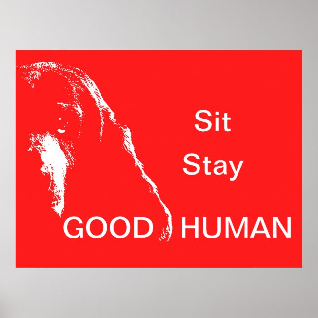 Poster Sente-se Bem Humano (Frente)